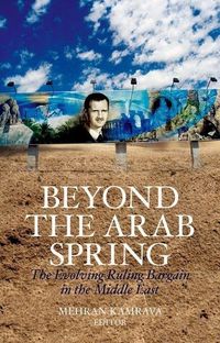 Produktbild: Beyond the Arab Spring