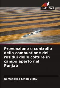 Produktbild: Prevenzione e controllo della combustione dei residui delle colture in campo aperto nel Punjab