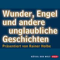 Produktbild: Wunder, Engel und andere unglaubliche Geschichten