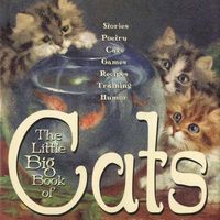 Produktbild: Little Bbo Cats