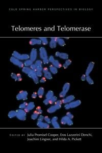 Produktbild: Telomeres and Telomerase