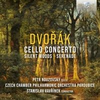 Produktbild: Dvorak:Cello Concerto,Silent Woods,Serenade