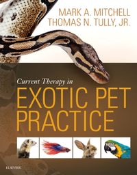 Produktbild: Current Therapy in Exotic Pet Practice