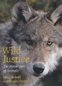 Produktbild: Wild Justice