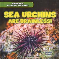 Produktbild: Sea Urchins Are Brainless