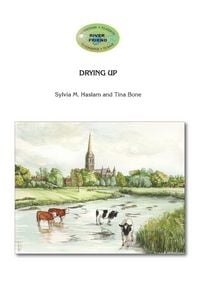 Produktbild: Drying Up