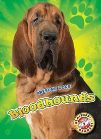 Produktbild: Bloodhounds