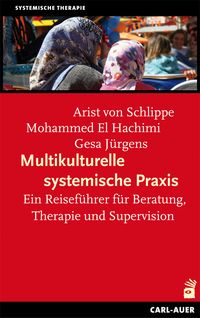 Produktbild: Multikulturelle systemische Praxis