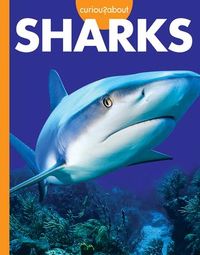 Produktbild: Curious about Sharks