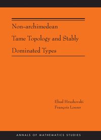 Produktbild: Non-Archimedean Tame Topology and Stably Dominated Types