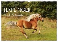 Produktbild: Haflinger - blonde Sch&ouml;nheiten (Wandkalender 2027 DIN A2 quer), CALVENDO Monatskalender