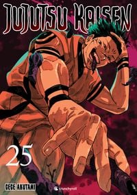 Produktbild: Jujutsu Kaisen - Band 25