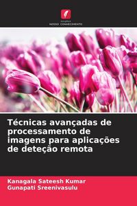 Produktbild: T&eacute;cnicas avan&ccedil;adas de processamento de imagens para aplica&ccedil;&otilde;es de dete&ccedil;&atilde;o remota