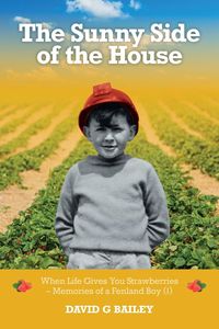 Produktbild: The Sunny Side of the House