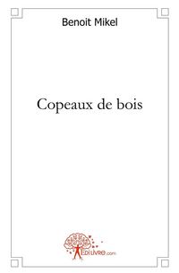 Produktbild: Copeaux de bois