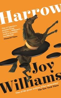 Produktbild: Williams, J: Harrow