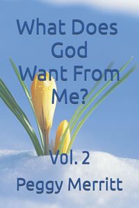Produktbild: What Does God Want From Me? Vol. 2