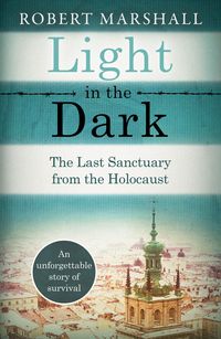 Produktbild: Light in the Dark