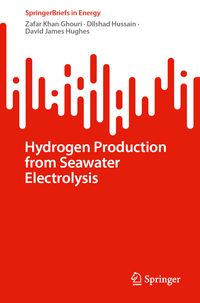 Produktbild: Hydrogen Production from Seawater Electrolysis