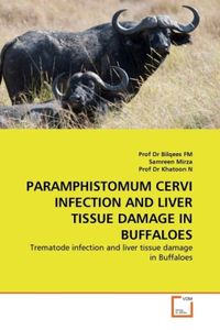 Produktbild: Fm, P: Paramphistomum Cervi Infection and Liver Tissue Damag