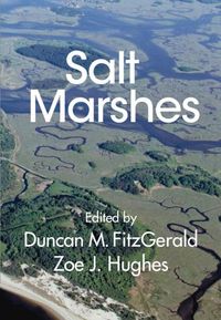 Produktbild: Salt Marshes
