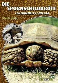 Produktbild: Die Spornschildkr&ouml;te
