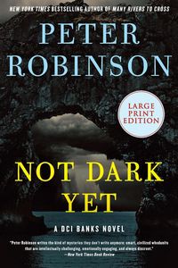 Produktbild: Not Dark Yet LP