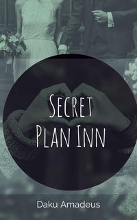 Produktbild: Secret Plan Inn (Love Volume, #3)