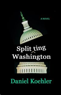 Produktbild: Splitting Washington