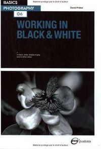 Produktbild: Basics Photography 06 Working