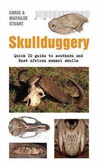 Produktbild: Stuart, C: Skullduggery A Quick