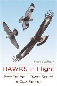 Produktbild: Hawks in Flight