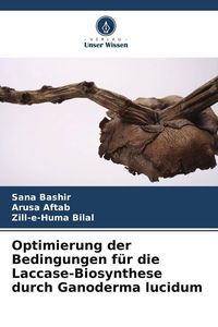 Produktbild: Optimierung der Bedingungen f&uuml;r die Laccase-Biosynthese durch Ganoderma lucidum