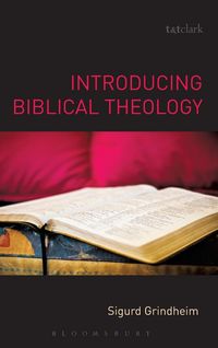 Produktbild: Introducing Biblical Theology