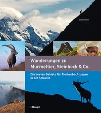 Produktbild: Wanderungen zu Murmeltier, Steinbock & Co.