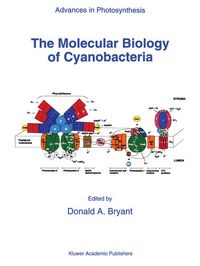Produktbild: The Molecular Biology of Cyanobacteria