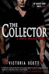 Produktbild: The Collector