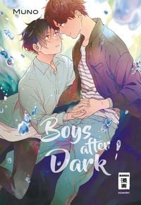 Produktbild: Boys after Dark