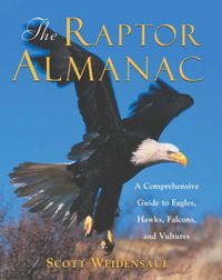 Produktbild: Raptor Almanac: A Comprehensive Guide to Eagles Hawks Falcons and Vultures