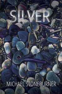 Produktbild: Silver (The In-Rel Trilogy)