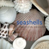 Produktbild: Iselin, J: Seashells