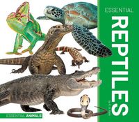 Produktbild: Hale, K: Essential Reptiles