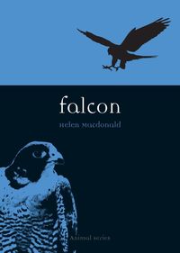 Produktbild: Falcon