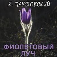 Produktbild: Fioletovyiy luch