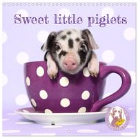 Produktbild: Sweet little piglets (Wall Calendar 2026 12 &times; 12 Inch) CALVENDO 12 Month Wall Calendar