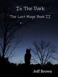 Produktbild: In The Dark: The Last Mage Book II