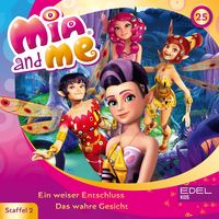 Produktbild: Folge 25: Ein weiser Entschluss / Das wahre Gesicht (Das Original-H&ouml;rspiel zur TV-Serie)