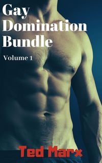 Produktbild: Gay Domination Bundle: Volume 1