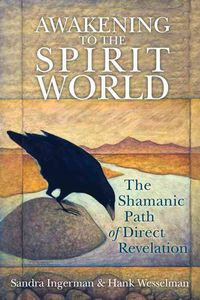 Bild vom Artikel Awakening to the Spirit World: The Shamanic Path of Direct Revelation vom Autor Sandra Ingerman
