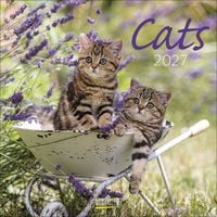 Produktbild: Cats 2027